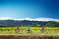 Cycling along the Nelson Great Taste Trail in New Zealand. Image credit: Dean McKenzie